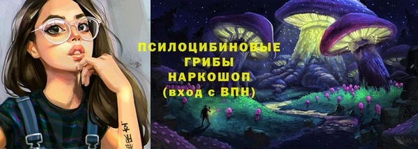 крисы Абаза