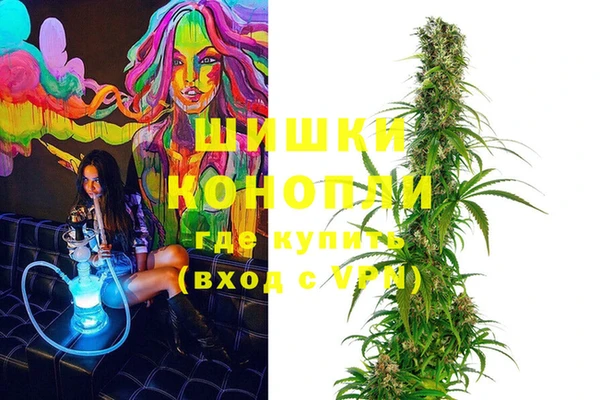 крисы Абаза