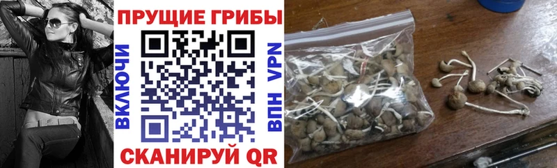 Псилоцибиновые грибы мицелий  как найти закладки  Нижняя Салда 