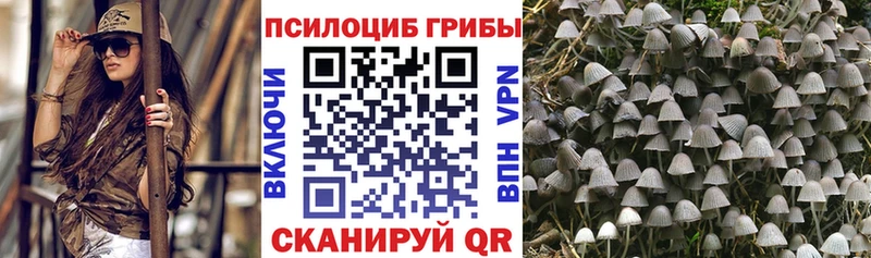 Псилоцибиновые грибы Cubensis Нижняя Салда